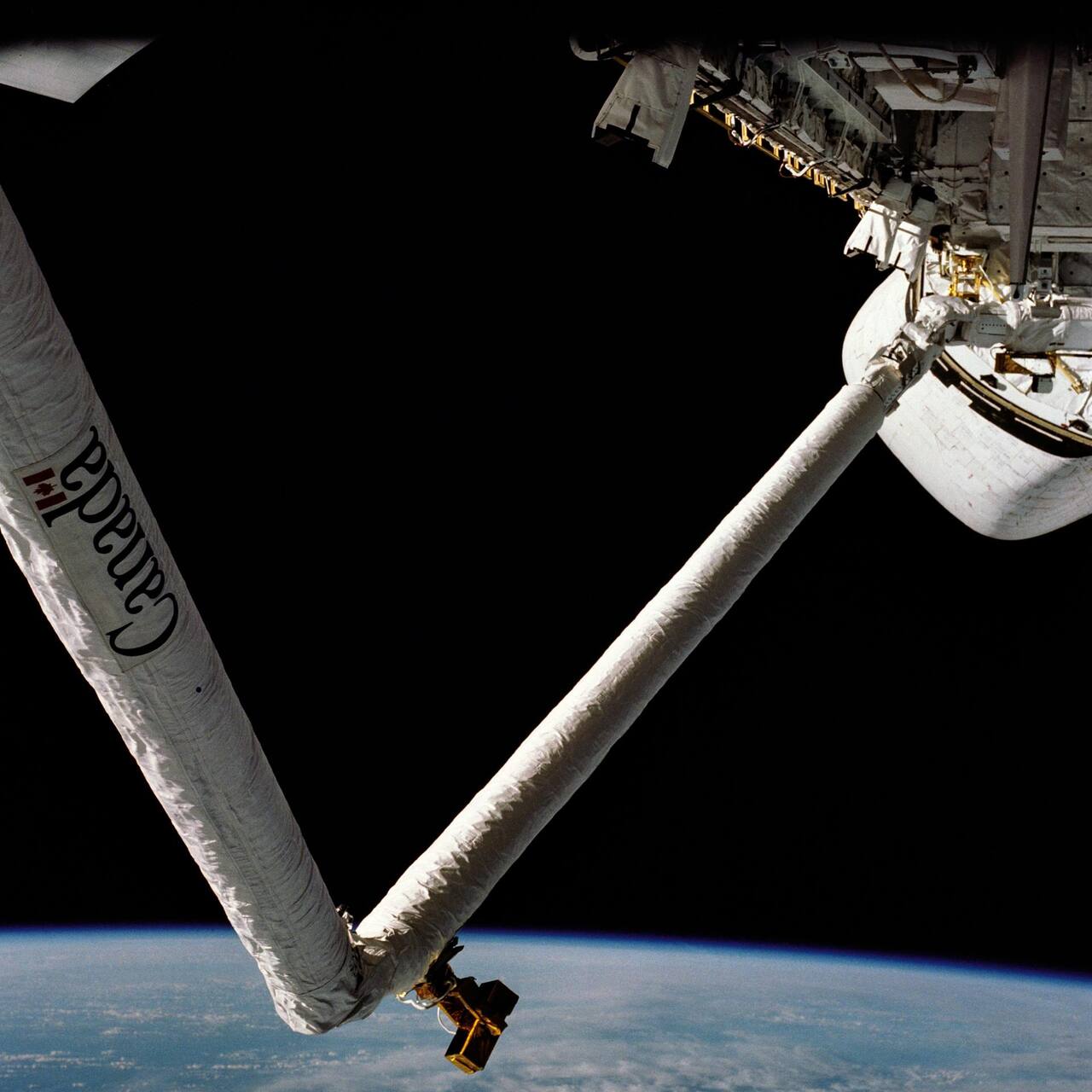 The Shuttle Remote Manipulator System deployed from Columbia in November 1982. The shoulder attaches to a fixed longeron fitting on the port payload bay sill at upper right; the two thin-walled graphite epoxy booms, 6.38 m and 7.06 m long and about 0.33 m in diameter, meet at the elbow pitch joint, and the wrist and snare end effector are at lower center. There is no capture interface at the shoulder, which is why this arm could not relocate its own base