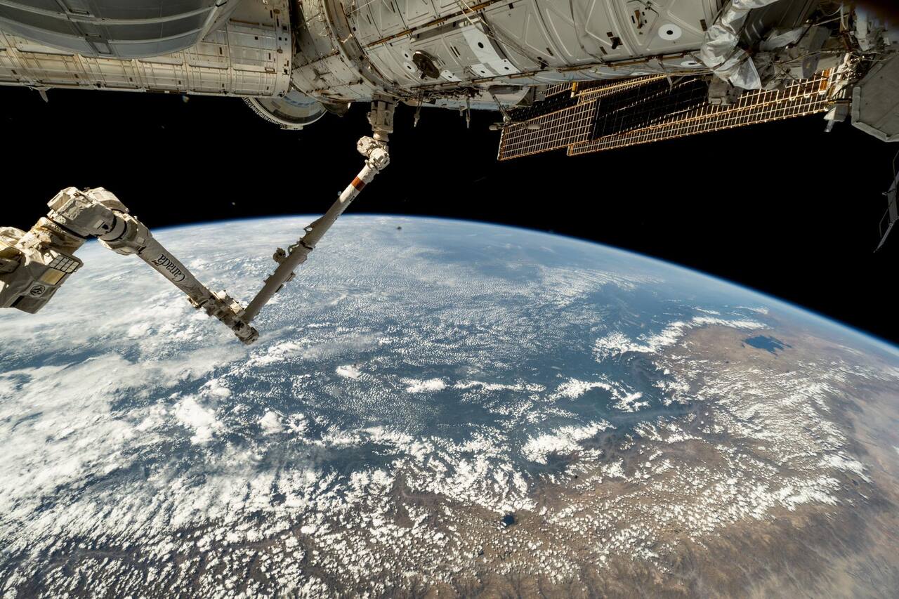 Canadarm2 photographed from the International Space Station on 21 July 2024, based on a grapple fixture on the module above and folded at the elbow. The enlarged cylindrical housings at each articulation are the seven identical rotary joints, each of which contains two interchangeable joint motor modules; the two booms either side of the elbow are of equal length, which is what allows the free Latching End Effector at lower left to become the base after a walk-off