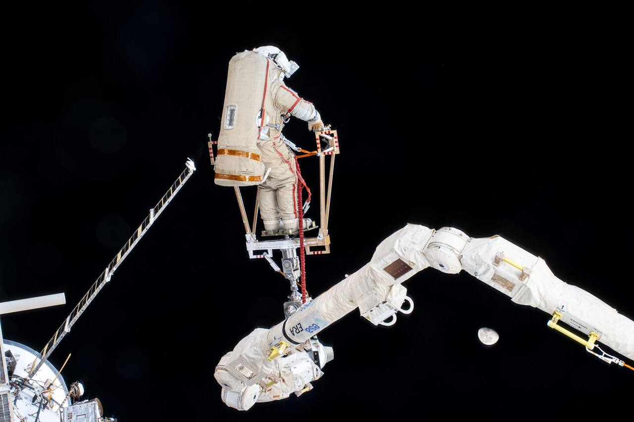 The European Robotic Arm carrying Roscosmos cosmonaut Alexey Ovchinin on a foot restraint during a spacewalk from the Russian segment, 19 December 2024. The end effector at the base of the restraint and the three-axis wrist cluster behind it are identical to those at the far end of the arm, which is why either end can act as the shoulder; the single pitch axis at right is the elbow, and the carbon fiber limb between them is about 5 m long